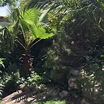 De Qualite Vue Piscine Chauffee *