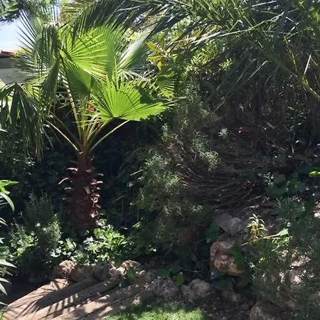 De Qualite Vue Piscine Chauffee *